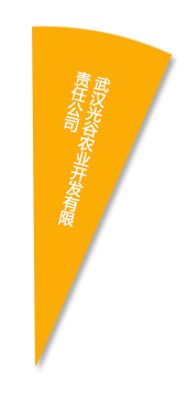 美彩国际·(中国区) - 官网
