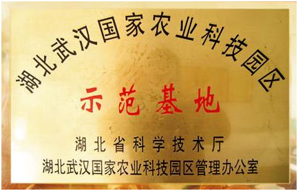美彩国际·(中国区) - 官网