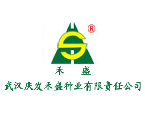 美彩国际·(中国区) - 官网