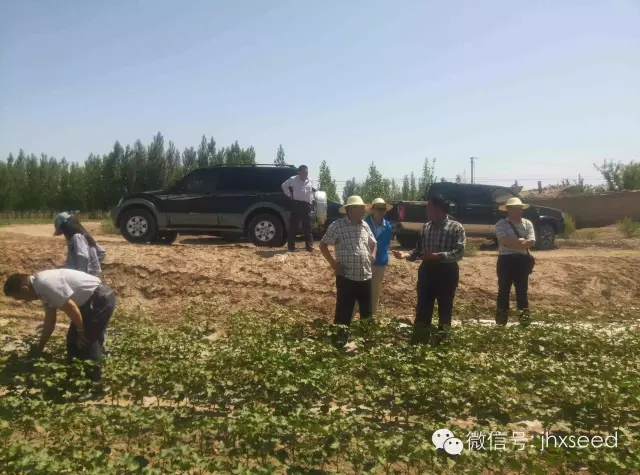美彩国际·(中国区) - 官网