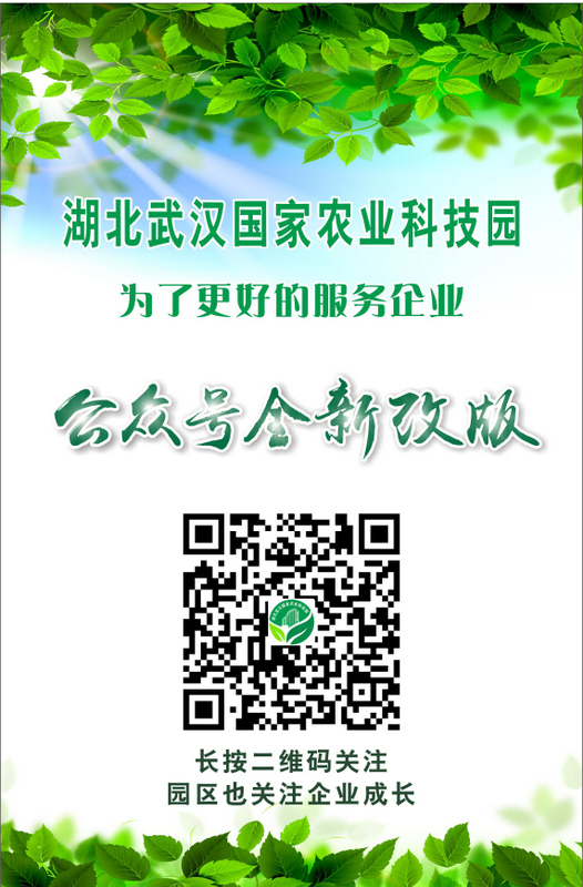 美彩国际·(中国区) - 官网