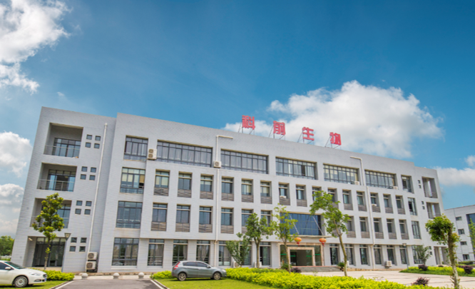 美彩国际·(中国区) - 官网