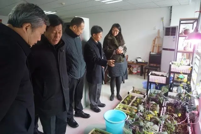 美彩国际·(中国区) - 官网