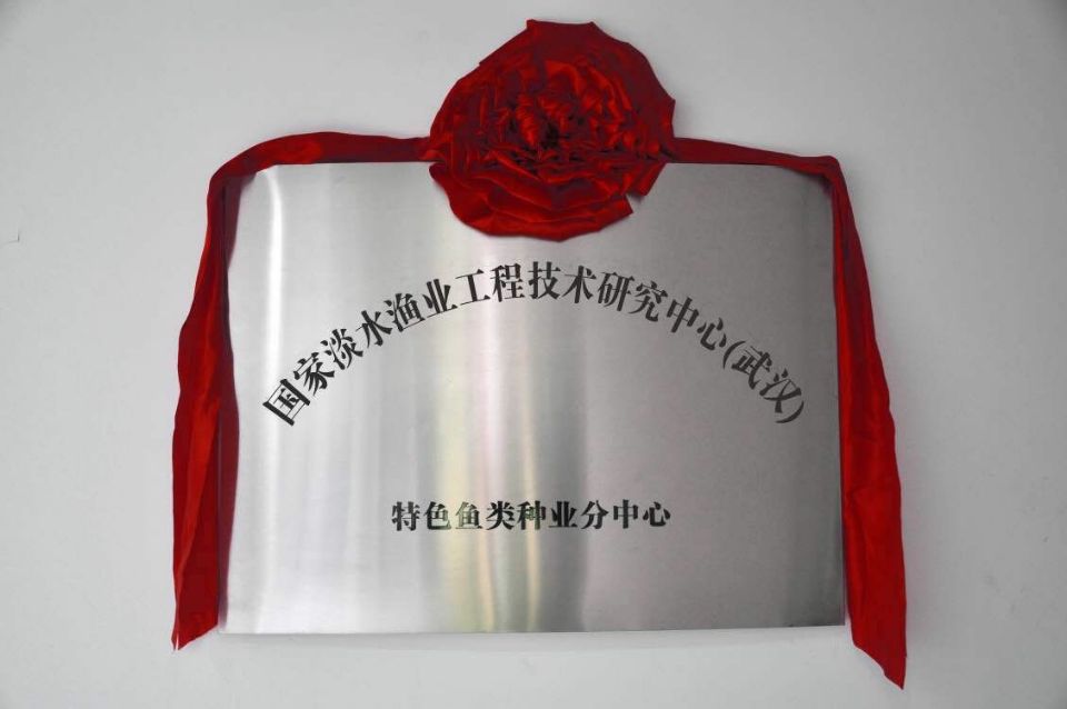 美彩国际·(中国区) - 官网