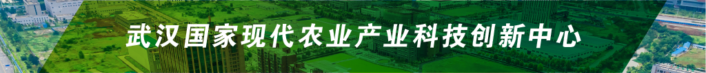美彩国际·(中国区) - 官网